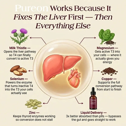 Thyroid Balance
