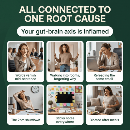 Gut-Brain Clarity™ — Brain Fog Support
