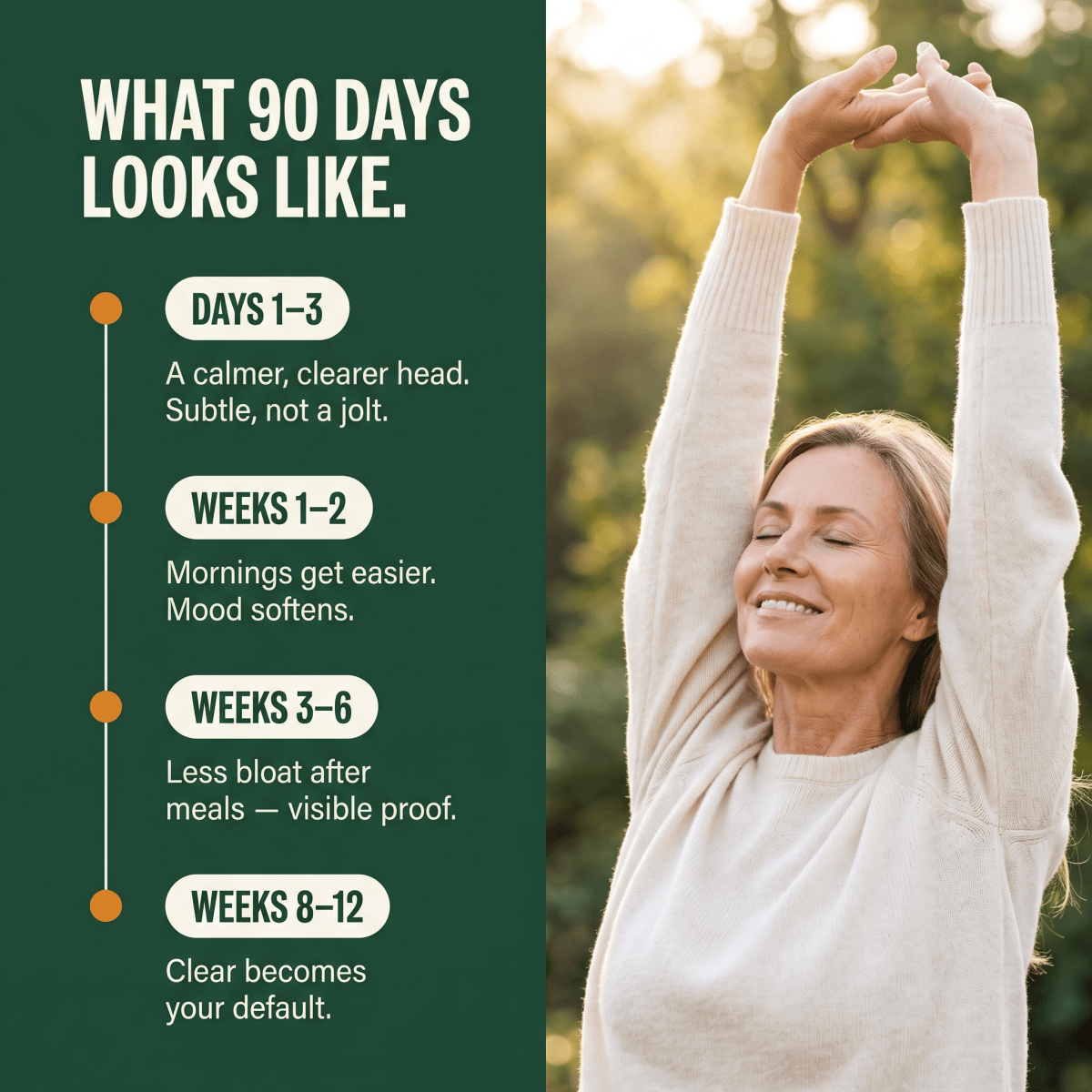 Gut-Brain Clarity™ — Brain Fog Support